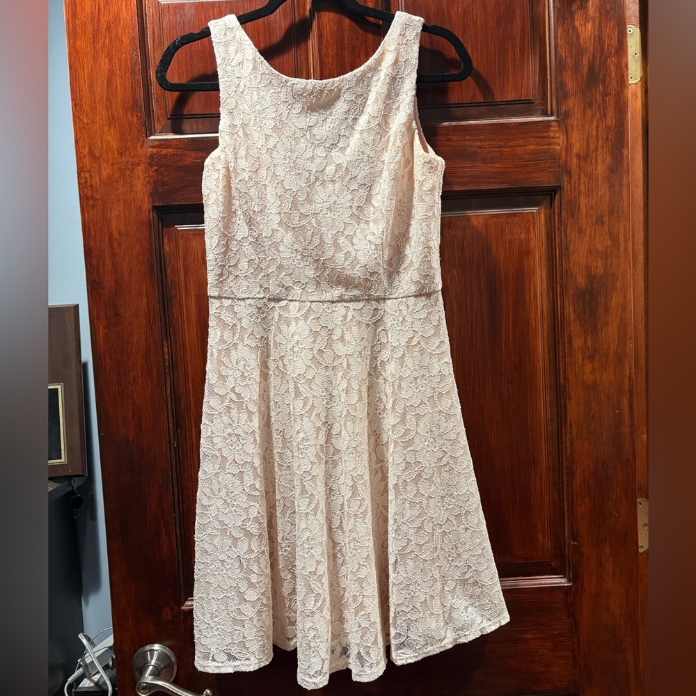 Elegant Lace Light Pink Sleeveless Dress
